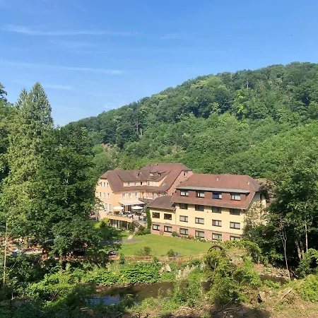 Hotel Fuchs'sche Muehle 4*