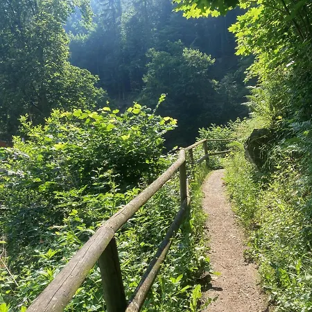 Hotel Fuchs'sche Muehle 4*