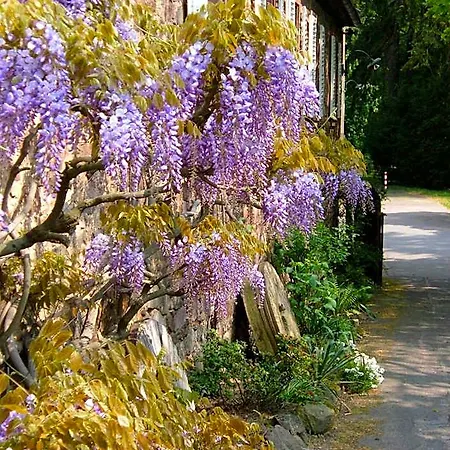 Hotel Fuchs'sche Mühle Weinheim