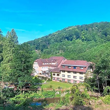Hotel Fuchs'sche Mühle 4*