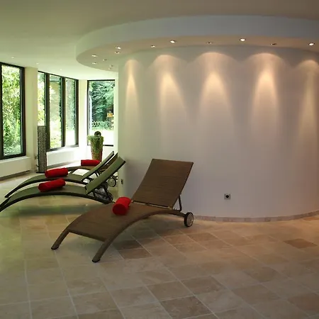 호텔 Fuchs'sche Muehle 바인하임