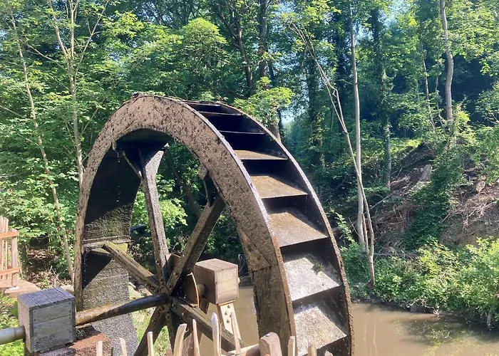 Fuchs'sche Muehle 4* Weinheim