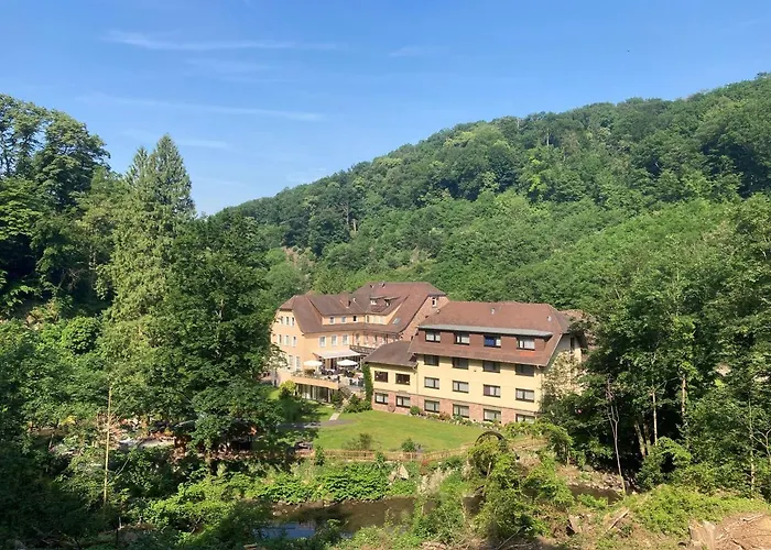 Hotel Fuchs'sche Muehle 4*