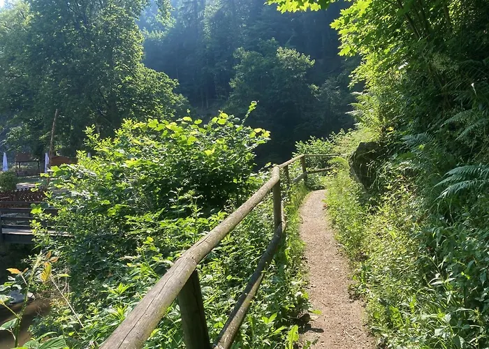 Hotel Fuchs'sche Muehle 4*